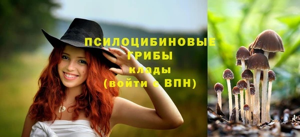 амф Арсеньев