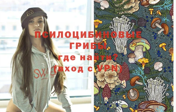 амф Арсеньев
