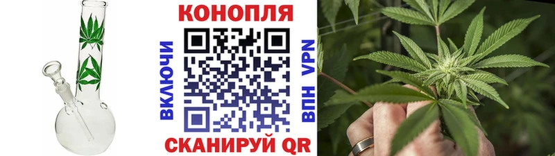 Конопля конопля  Светлогорск 